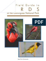 2009 - Birds of Gorongosa by JPV