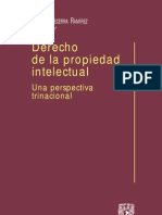 Derecho de La Propiedad Intelectual - Manuel Becerra Ramirez