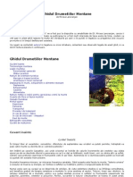 Ghidul-Drumetiilor-Montane Din Romania PDF