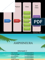 Amphi Neur A