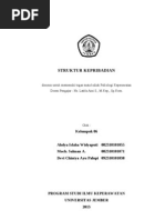 Download STRUKTUR KEPRIBADIAN by Ahdya Islaha Widyaputri SN165032537 doc pdf