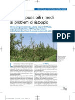 Pesco, I Possibili Rimedi Ai Problemi Di Ristoppio