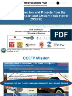 16_research Direction and Projects From the Ccefp