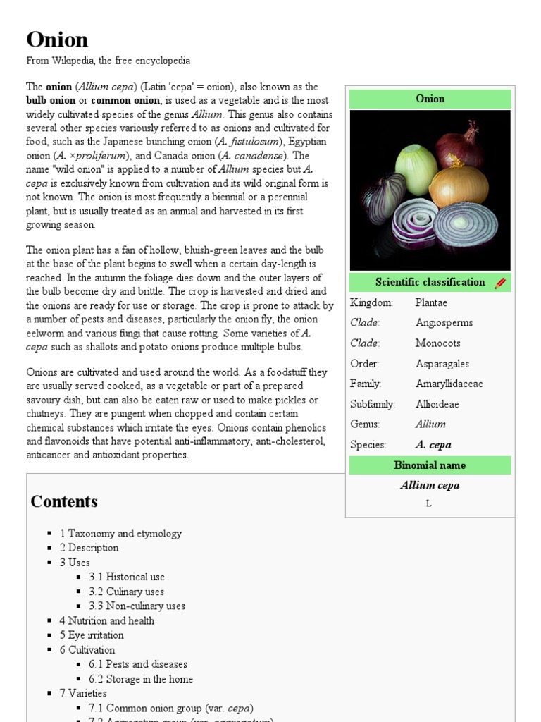 Onion Wikipedia, The Free Encyclopedia1 PDF Onion Horticulture