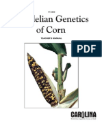 Mendelian Genetics of Corn