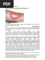 Download Fisioterapi Pada Luka Bakar by Ikha Shafiyyah SN165074660 doc pdf