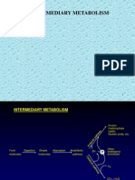 Intermediary Metabolism