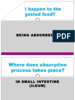 What Happen To The Digested Food?: Being Absorbed