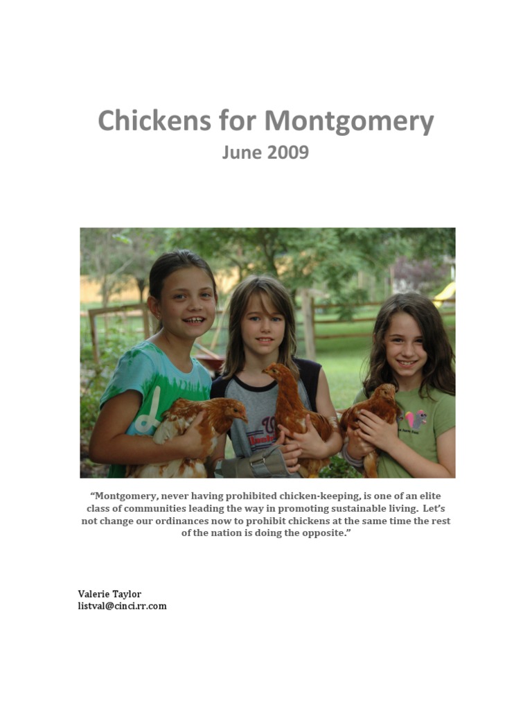 Chicken intelligence overview