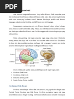 Download Review Neuroanatomi by Ida Andalos Totha SN165105152 doc pdf