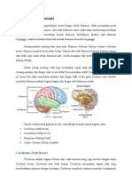 Review Neuroanatomi