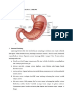 52537763-Makalah-Gastritis-FIX.doc