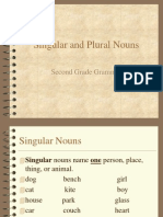 Singular Nouns