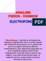 Curs 5 Electroforeza Capilara