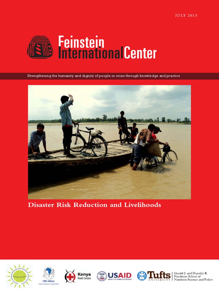 Disaster Risk Reduction and Livelihoods | PDF | Disaster Risk Reduction ...