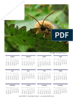 09 Moth Calendar