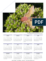 10 Moth Calendar