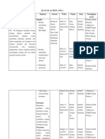 Plan of Action Remaja