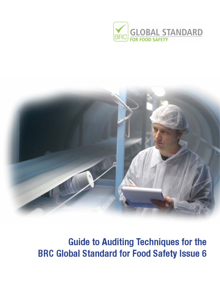 Guide To Auditing Techniques Download Free Pdf Audit Food Safety