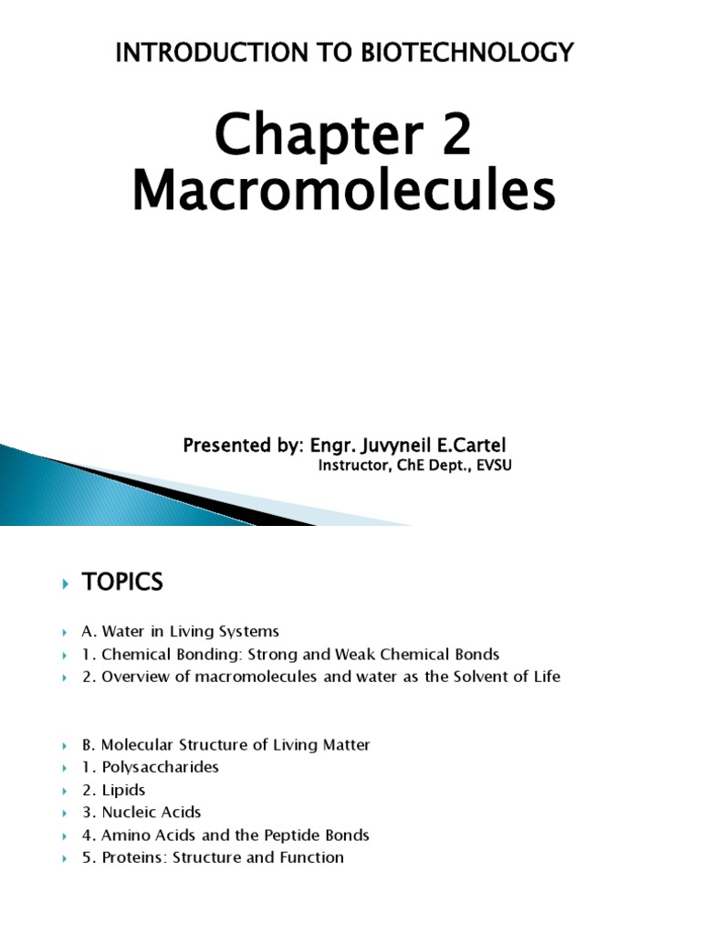 Macromolecules in Biotechnology Overview | PDF | Intermolecular Force ...