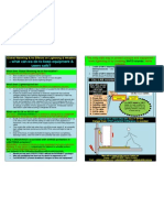 Global Warming & Lightning Safety