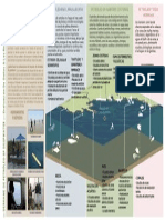 Evaluación Del Impacto Del Derrame de Petroleo