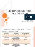 Clase 11 Les NV Periferico y SD Canaliculares