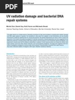 Download UV Radiation Damage and Bacterial DNA Repair Systems by PINAKI SN16520498 doc pdf