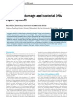Download UV Radiation Damage and Bacterial DNA Repair Systems by PINAKI SN16520498 doc pdf