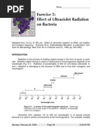 Download Lab 05 Effect of UV Radiation on Bacteria by PINAKI SN16520509 doc pdf