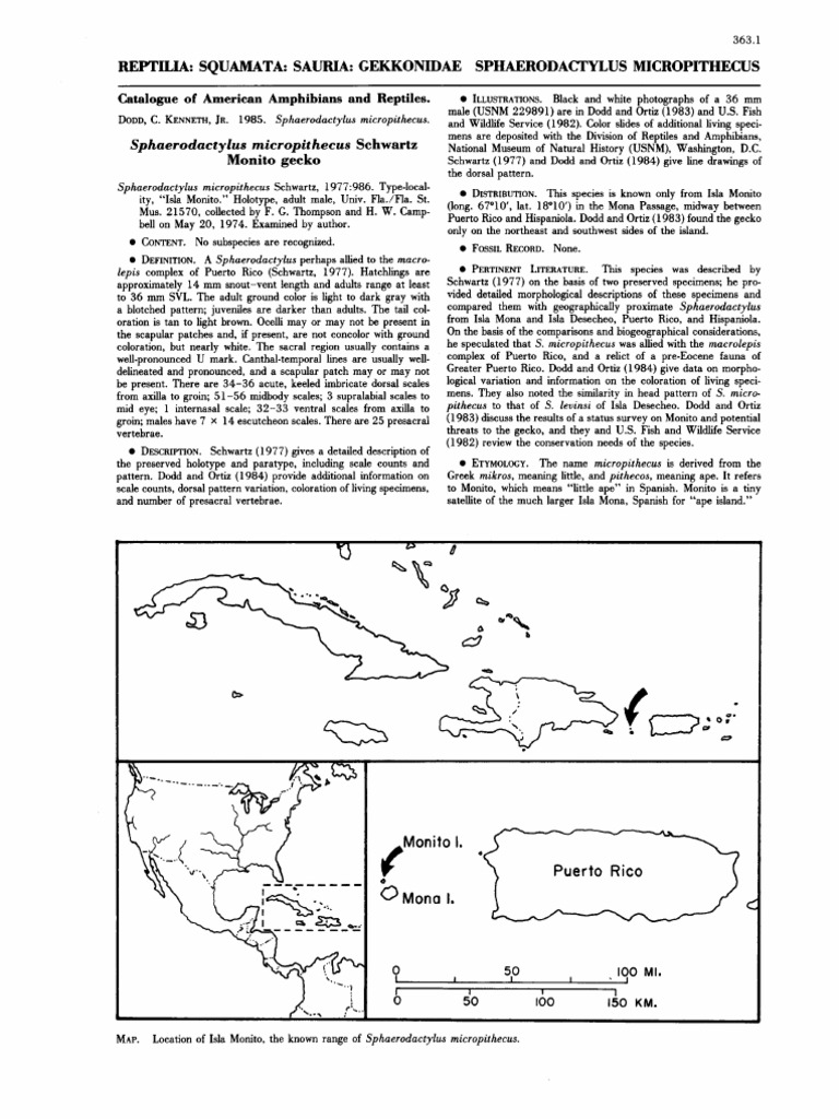 Dodd (1985) - Sphaerodactylus Micropithecus PDF | PDF | Reptile ...
