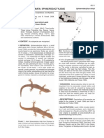 Hite Et Al (2008) - Sphaerodactylus Kirbyi PDF
