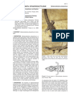 Powel Et Al (2010) - Sphaerodactylus Phyzacinus PDF