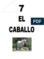 Leccion 7 CABALLO