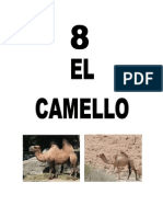 Leccion8CAMELLO