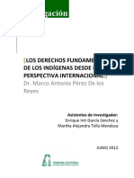 Derechos Indigenas Internacional Casos