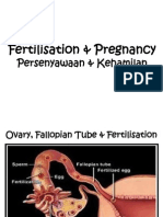 Fertilisation & Pregnancy