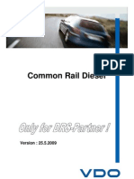 VDO-Siemens Common Rail - 2009