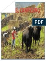 Dia Del Campesino