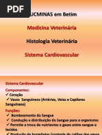 Texto Sistema Cardiovascular Completo.ppt