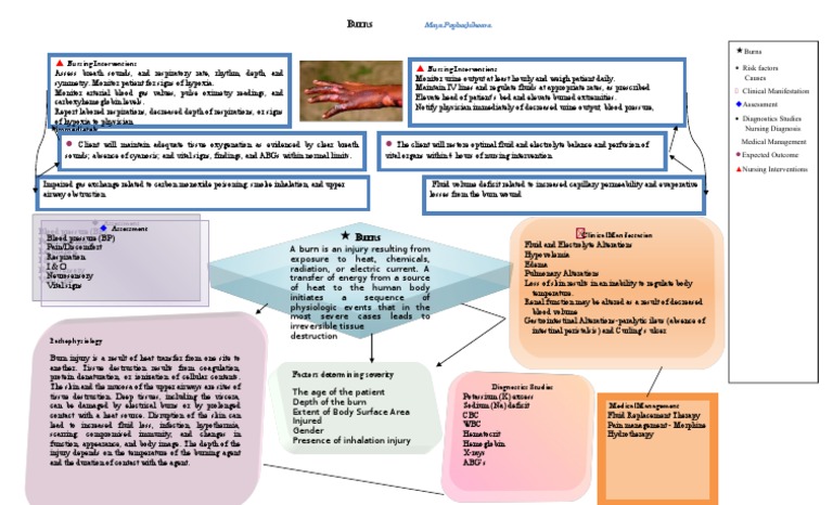 BURNS -Concept Map