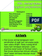 (PBL II) PBL Herbal 2 Kel 8 Daun Salam