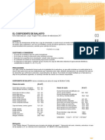 COEFICIENTE DE BALASTRO.pdf