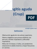 Laringitisybronquiolitismodificada 130205072710 Phpapp02