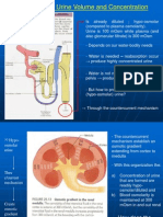 Regulation of Urine Volume and Concentration