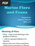 Marine Flora and Fauna.2