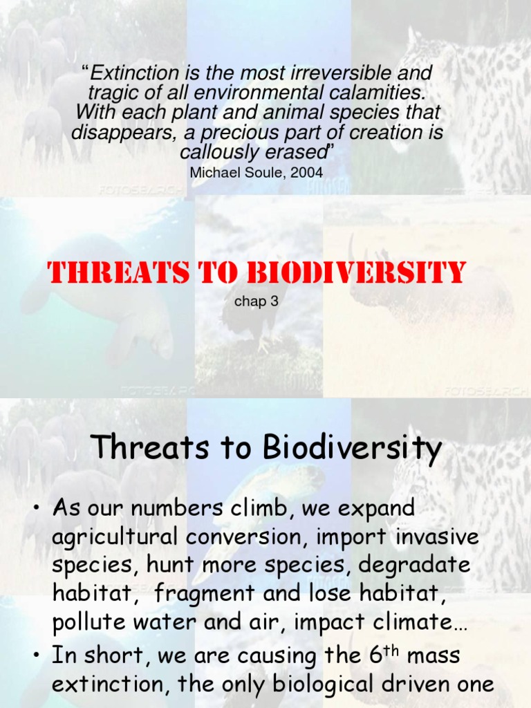 Major Threats to Biodiversity Explained | PDF | Extinction | Endangered ...