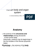 Human Body and Organ System, Untad 2012 Last Edit