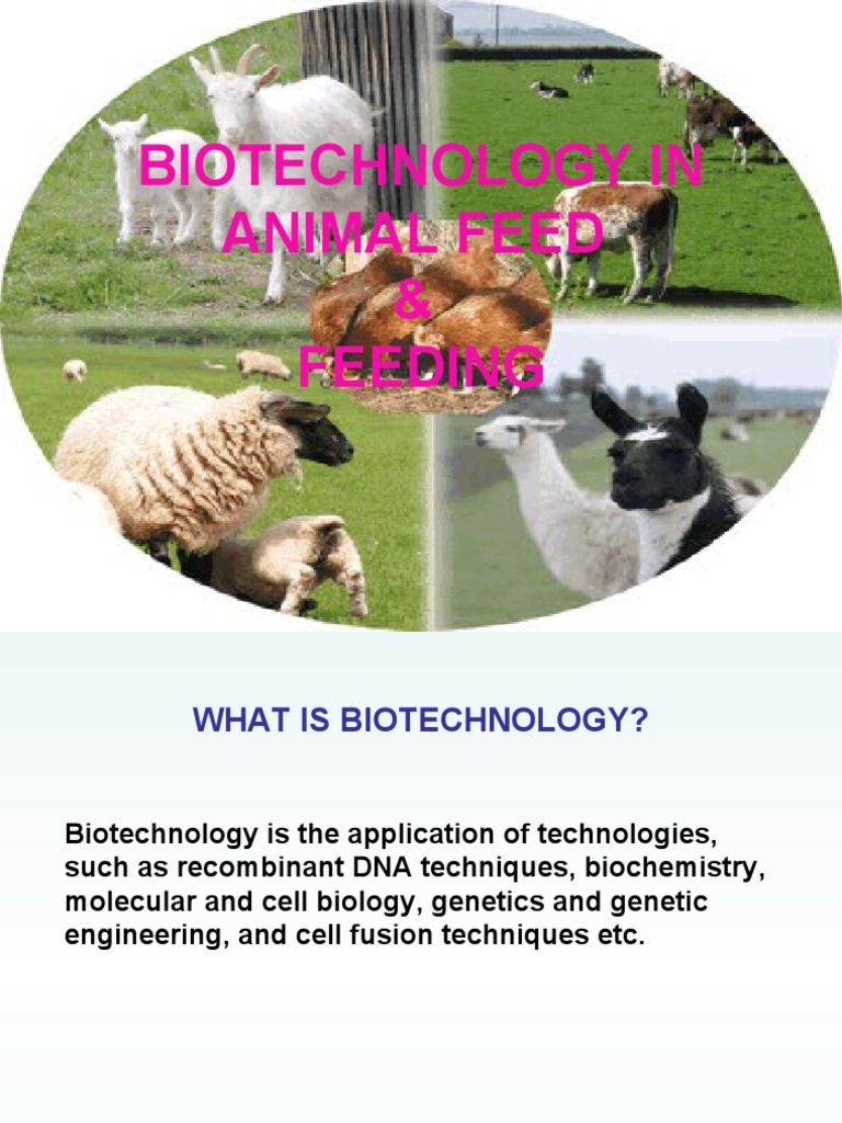 BIOTECHNOLOGY IN ANIMAL FEED & FEEDING Animal Feed Biotechnology