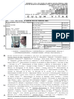 Curriculum Vitae de João Miguel - 8 Polegadas - 2011 - v. 6.0 Review Com Foto Sem Dados Confidenciais